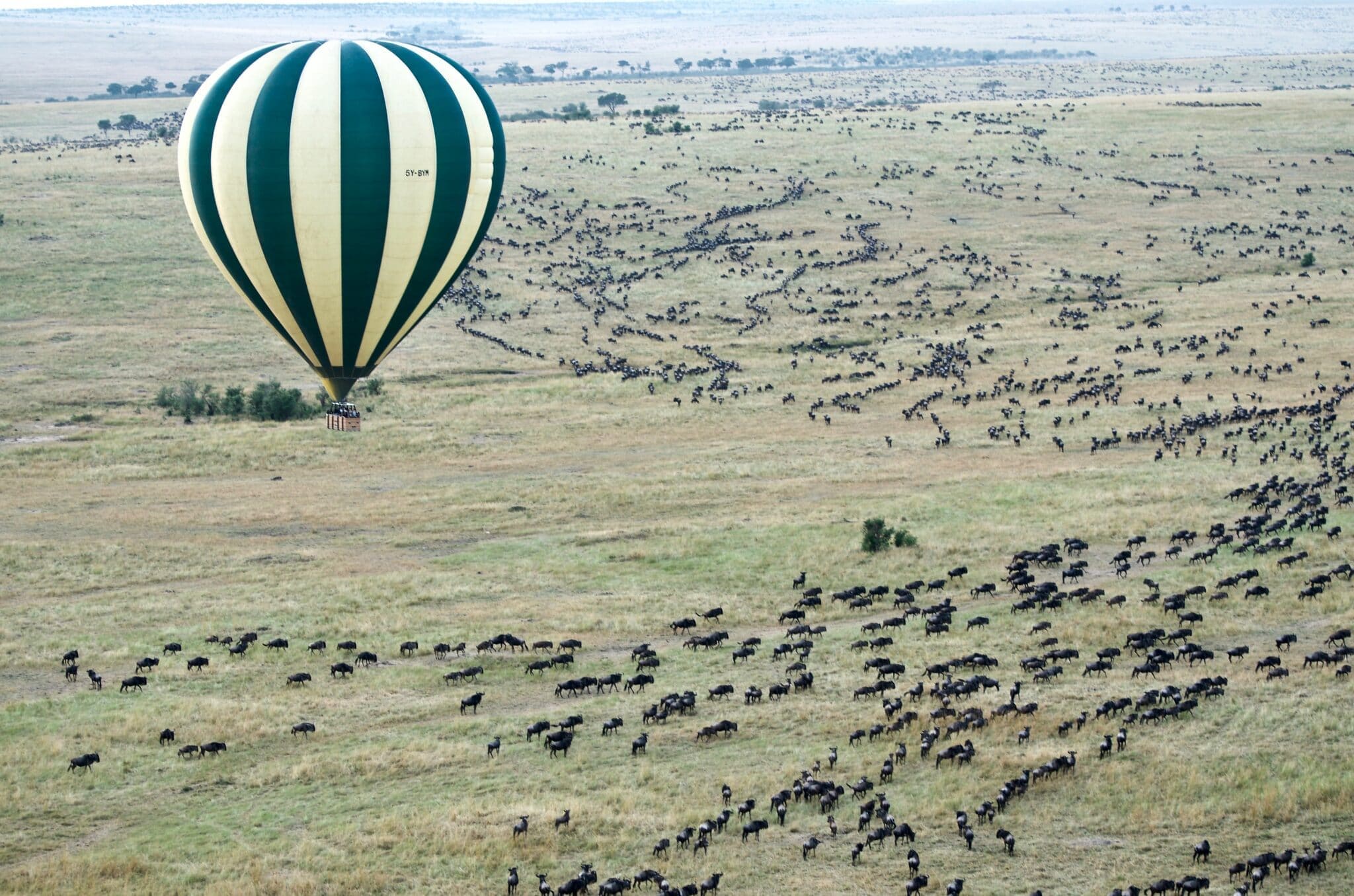 What Makes the Serengeti So Special