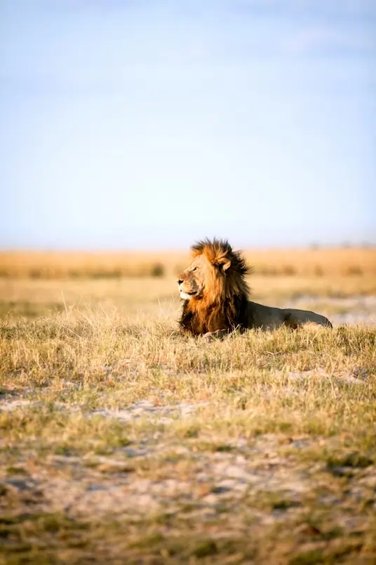 Route Planning for Tanzania