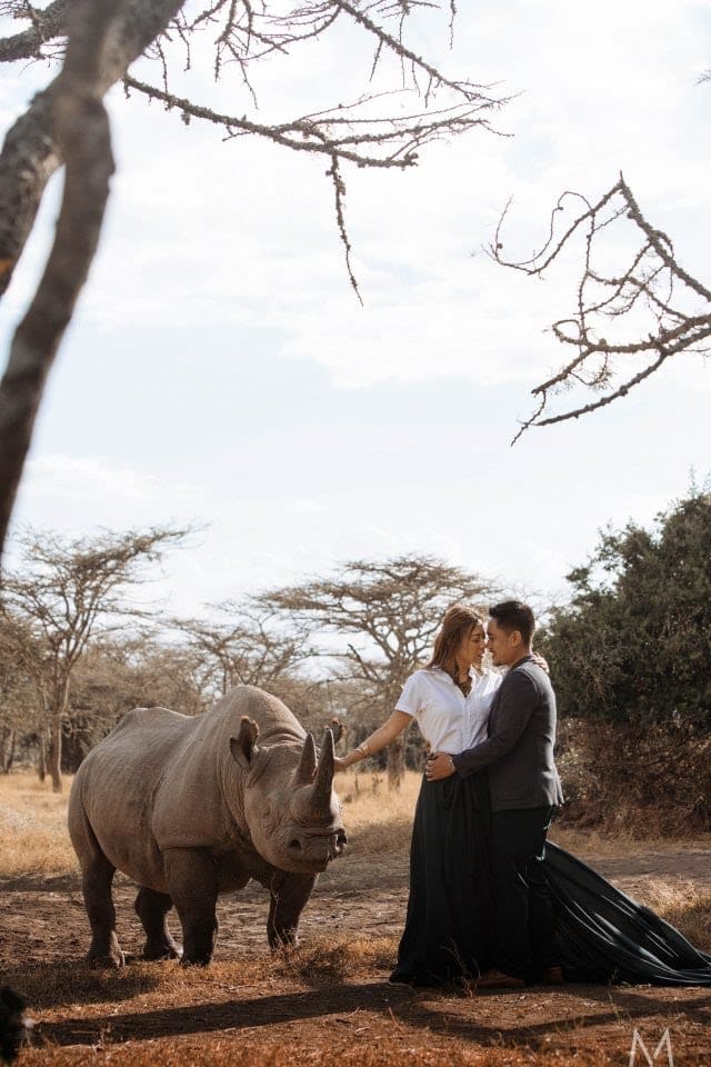 8 Days Kenya Family Safari | Simba Paka Safaris safari highlight