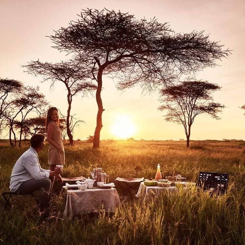 Luxury Kenya Honeymoon Safaris: Bush and Beach Done Right