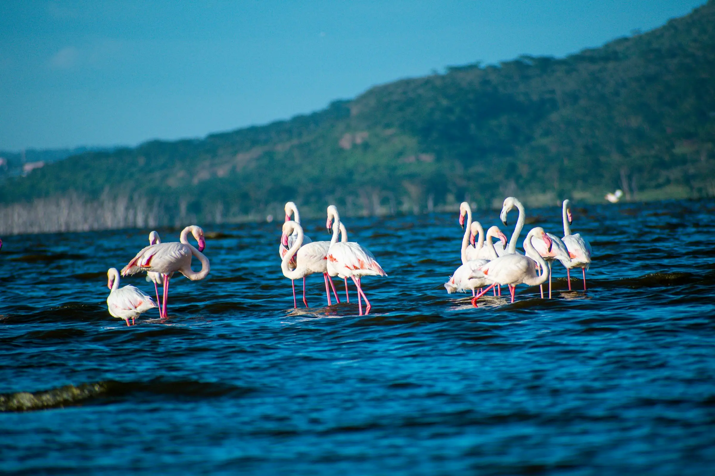 Nairobi to Lake Nakuru National Park on Day 1
