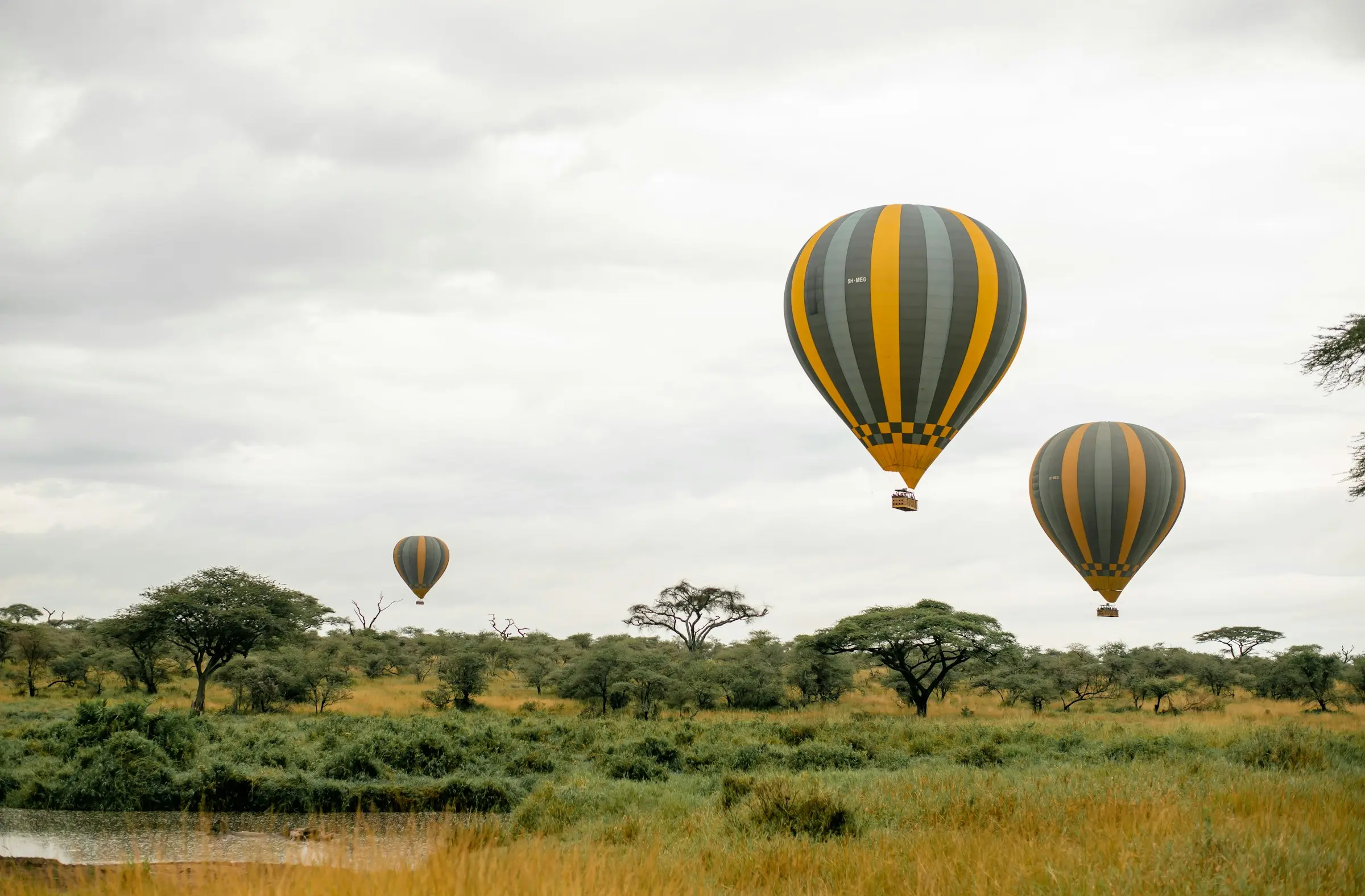 Hot-air balloons drifting over the Serengeti at sunrise