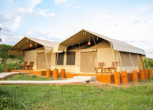 3 Days Masai Mara Ashnil Camp