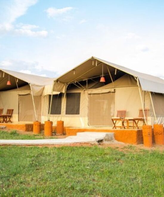 3 Days Masai Mara Ashnil Camp