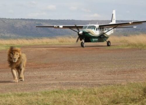 3 Days Masai Mara road trip