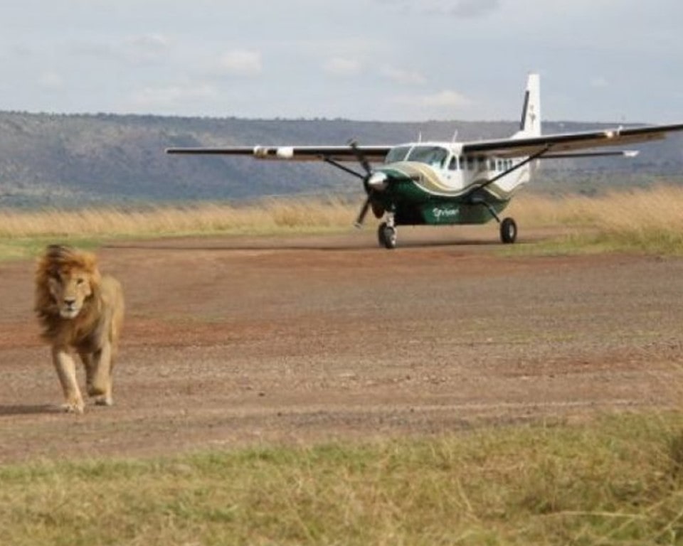3 Days Masai Mara road trip