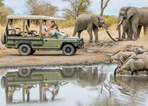 What to where in Kenyan Safari